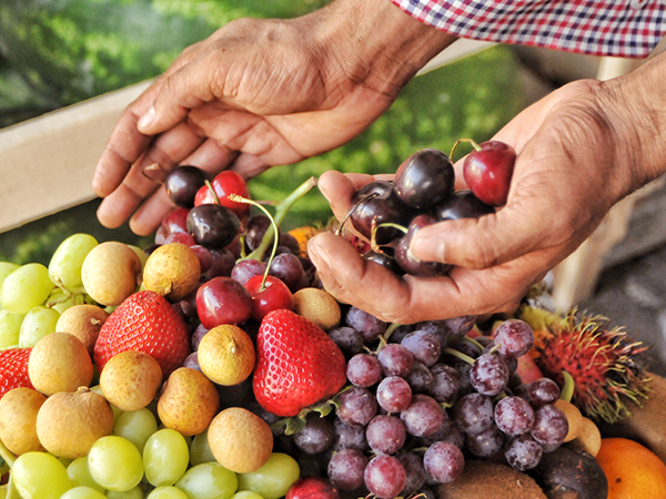 fruits